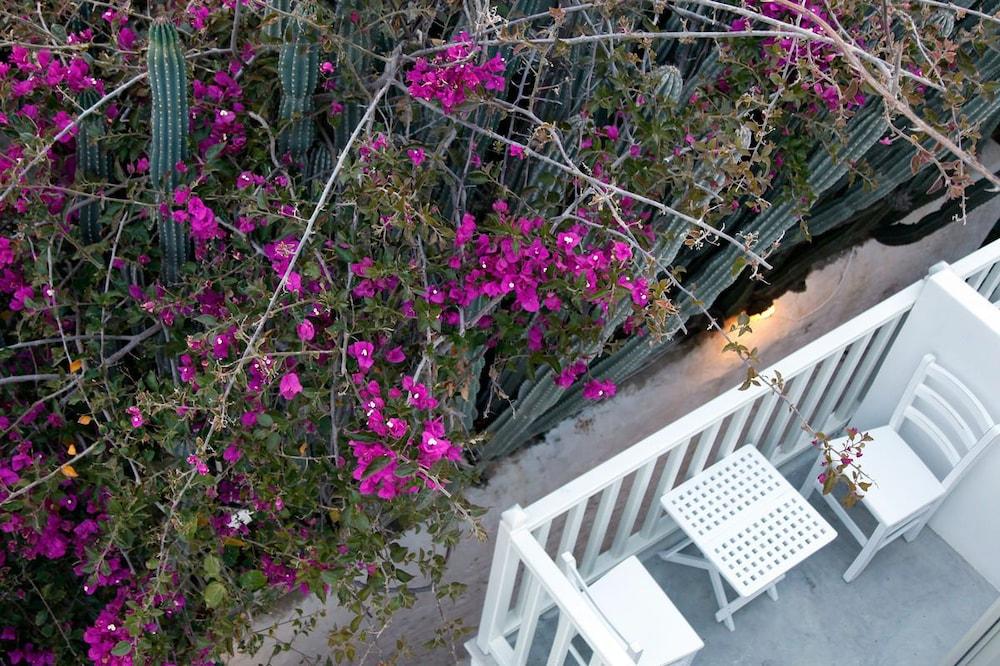 Fresh Boutique Hotel Mykonos Town Екстериор снимка