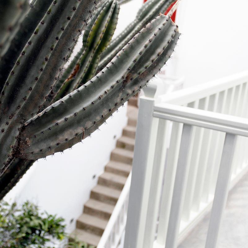 Fresh Boutique Hotel Mykonos Town Екстериор снимка